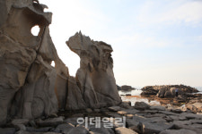 [강원바다여행②] 바다향 품은 커피, 소원 품은 바위…오감만족 ‘강릉’