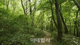 [여행] 남다르고 실속 있는 요망진 제주