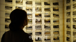 [여행] 남다르고 실속 있는 요망진 제주