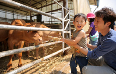 [포토] 여물주기 체험