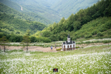 평창 청옥산 육백마지기에서 도레미송을 부른다