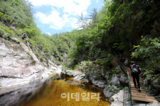 [여행] 한 굽이 돌수록 점입가경…오지 중의 오지 덕풍계곡