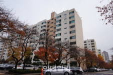 강남에 반값아파트 속출…잠실 진주아파트 분양가는?