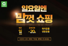 G마켓, 일요일의 행복 육아템 할인 판매