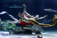 [포토] 수중 뮤지컬 인어공주