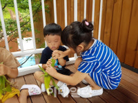 세종교육청, 관내 사립유치원에 맞춤형 선물보따리 제공