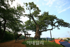 [폭염탈출②] 옛 선조들도 더위 피해 찾아간 신비 동굴