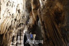 [피서핫플 터널②] 시원함은 기본, 흥미진진한 매력까지 가득