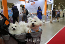 [포토] 전시장 구경나온 반려견