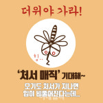 더위야 가라~ '처서 매직'은 기대해도 될까?(영상)