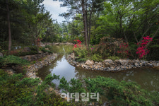 [포토] WE 호텔 제주, 힐링 포레스트
