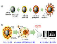 국내 연구진, 암세포 잡는 NK세포 공격력 극대화 기술 개발