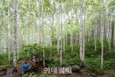 [놀다가는 휴게소②] 국내 최초 상공 휴게소 ‘내린천휴게소’