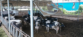 축산 농가 스마트축사 국가표준 마련..운영비용↓