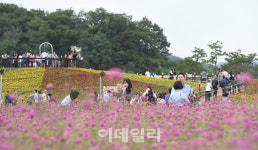 양주나리공원 내년에 다시 만나요…시, ASF확산방지 위해 27일 폐쇄