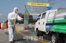 충남 홍성 돼지열병 음성 판정에도…긴장 끈 놓지 않는다