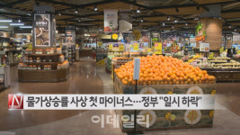 [이데일리N] 물가상승률 사상 첫 마이너스…정부 일시 하락 外