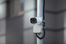 한밤중 속옷 벗고 농장 훼손 경찰, CCTV 속 용의자 추적