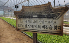 우리 것엔 우리 음악…과자·담배에 ‘국악’ 들려주니 잘 팔리네