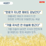 [절기매직]'추위 시작', 한로 뜻과 먹어야 할 음식은?