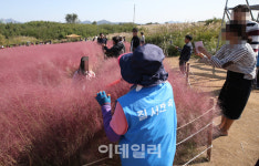 [포토]핑크뮬리 보호해주세요