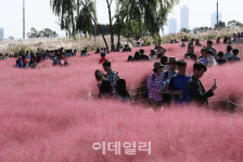 [포토]핑크뮬리 인기최고