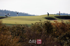 [포토] CJ컵 나인브릿지 1라운드 그린 주변 벙커