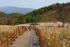 [심보배의 로스팅 탐방기] 살아 숨 쉬는 커피, 로스터리 포천카페