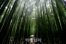 [여행] 숨 멈췄던 그곳, 쉼으로 다시 살아나다