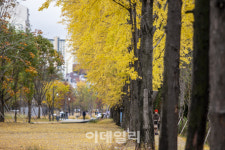 [서울단풍명소②] ‘연트럴파크’를 만들어낸 경의선숲길