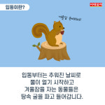 [절기매직]‘이제 진짜 겨울인가요?’ 오늘은 ‘입동’