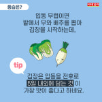 [절기매직]‘이제 진짜 겨울인가요?’ 오늘은 ‘입동’