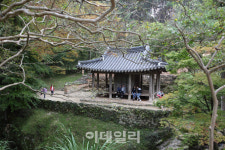 [닥치고여행②] 늦가을 오후, 숲속과 물가를 거닐다