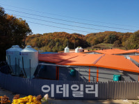 막막한 미래 답답…연천군 빈 돈사 가보니