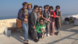 TV 동물농장 죽도의 명물 안내견 밍키