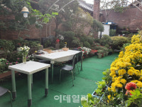 [동네방네]종로구, 올해 '잘 가꾼 집' 선정