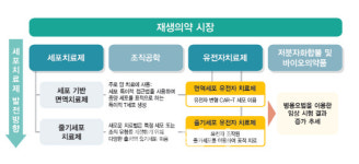 [미래기술25]②도마뱀·해삼처럼 훼손된 몸 부활시키는 재생의료