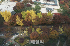 [노래가 있는 여행①] 돌담에 새겨진 선율과 추억에 빠지다
