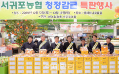 [포토] 농협유통, 서귀포 청정감귤 특판행사