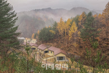 [강경록의 히든스폿] 소나무 숲에서 힐링을 만끽하다