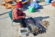 [이승희와 함께 하는 한국의 섬] 고양이를 닮은 섬, 신안 고이도
