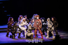 장화 신은 고양이·호두까기 인형, 크리스마스는 공연장에