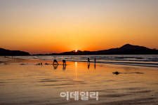 개돼지말쥐 | [여행] '황금돼지'를 보내고, '흰쥐'를 맞이하다