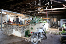 [인싸핫플] 카페가 된 전분공장 앤트러사이트