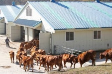 축산업자 대상 사육장비·면적 등 정기점검 실시