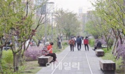 경의·경춘선숲길 일 3.3만명 발길…생태계 복원 명소 탈바꿈