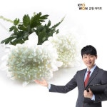 홈앤쇼핑, 교원라이프 다드림 상조상품 출시