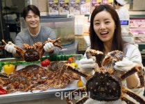 [포토] 살아있는 킹크랩, 반 값에 드세요~