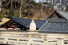[여행] 천년고찰에서 꽃 중의 꽃을 마중하다