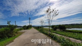 파주 공릉천 금촌구간 1.5㎞ 명품 가로수길로 재탄생